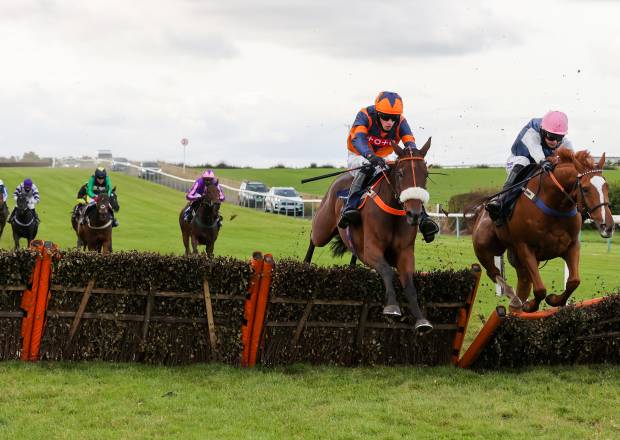 Horse Jumping at Sedgefield Racecourse