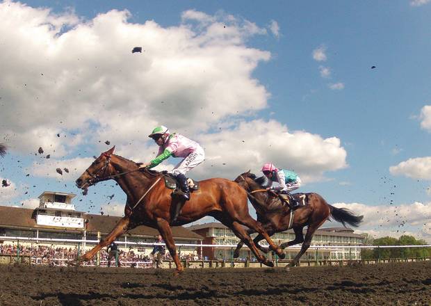 Horses Racing at Lingfield Park