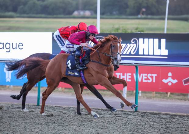 Diamond Bay at Lingfield Park