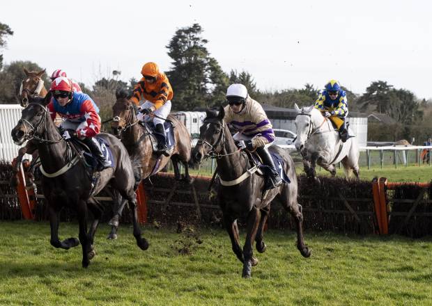 Hurdle jumping at Fontwell Park Racecourse