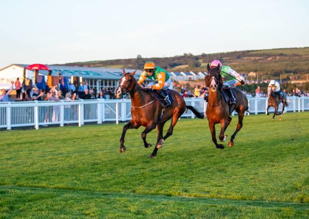 Horse Racing at Ffos Las Racecourse