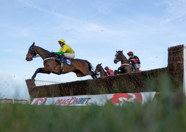 Horse Jumping at Ffos Las Racecourse