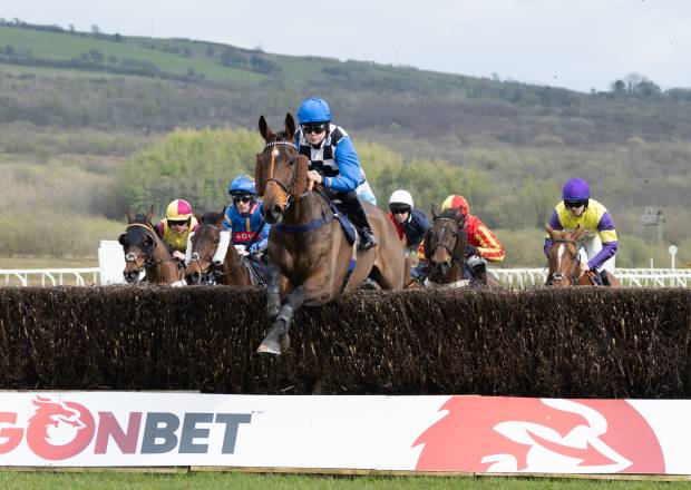 Horses jumping over fences