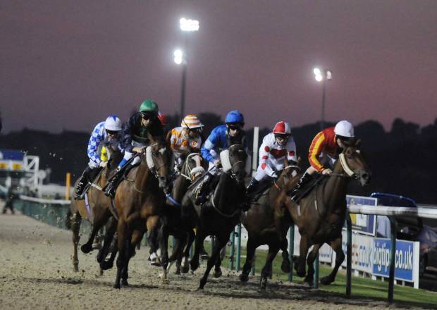 Wolverhampton Racing