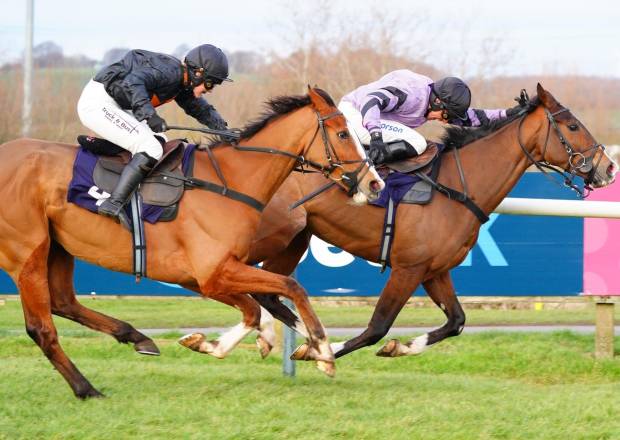 Horses Racing