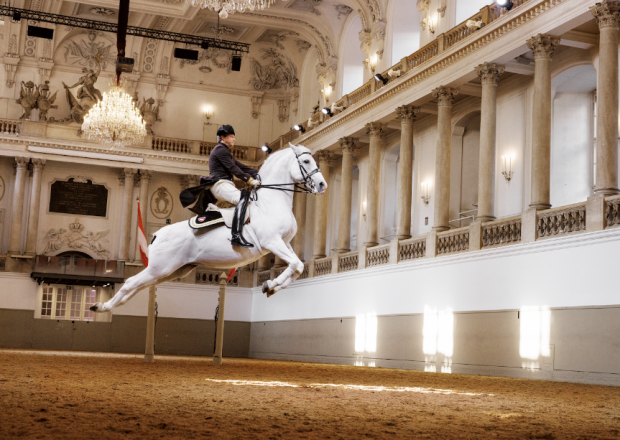 Spanish Riding School Horse Jumping