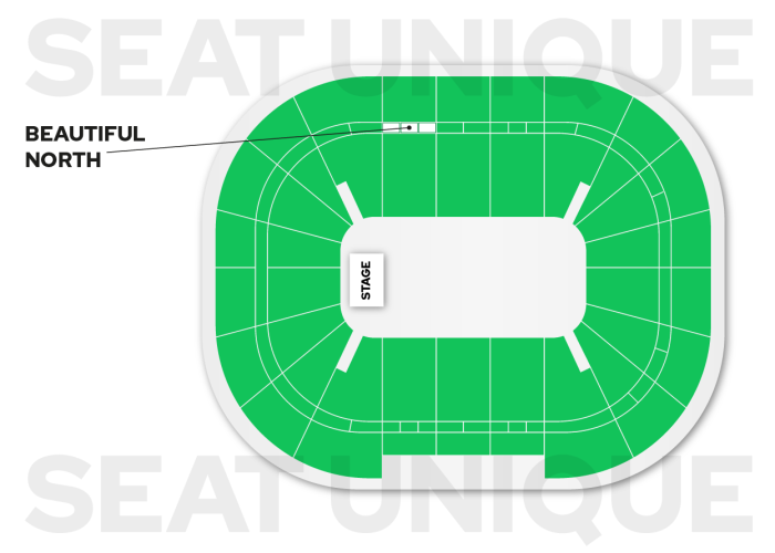 Ne-Yo AO Arena Manchester seating map 