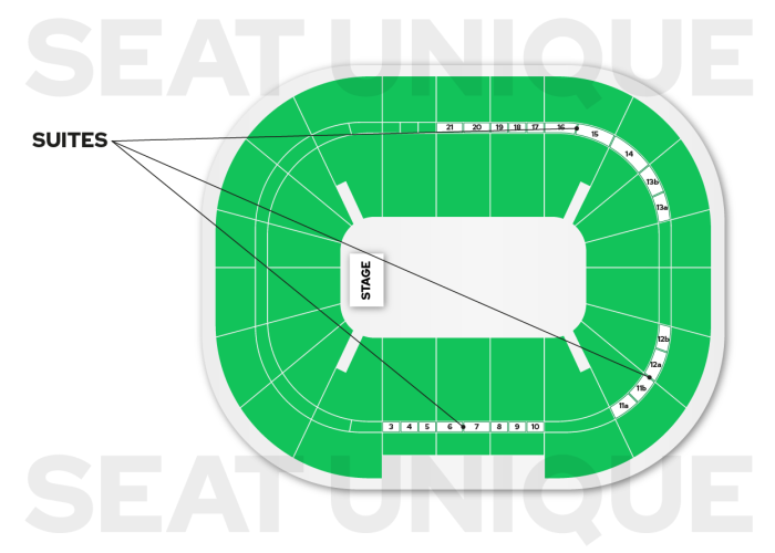 Becky Hill AO Arena premium seating plan