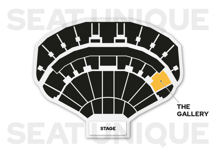 Sonu Nigam First Direct Arena premium seating map