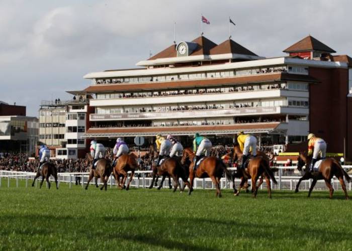 Jockeys racing at Newbury Racecourse