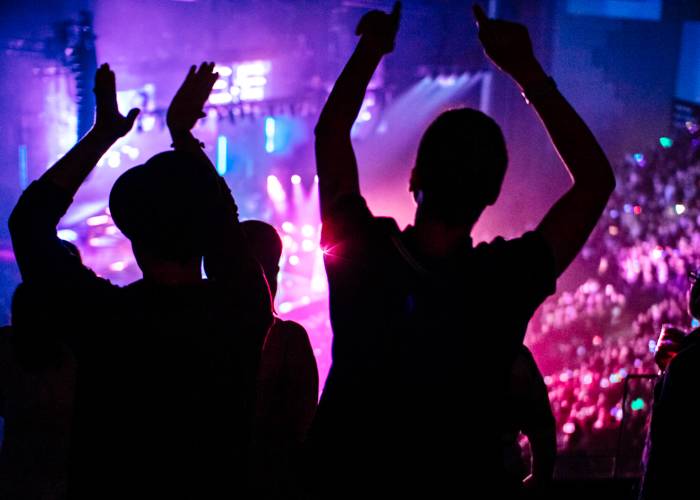 Fans watching concert from premium seats