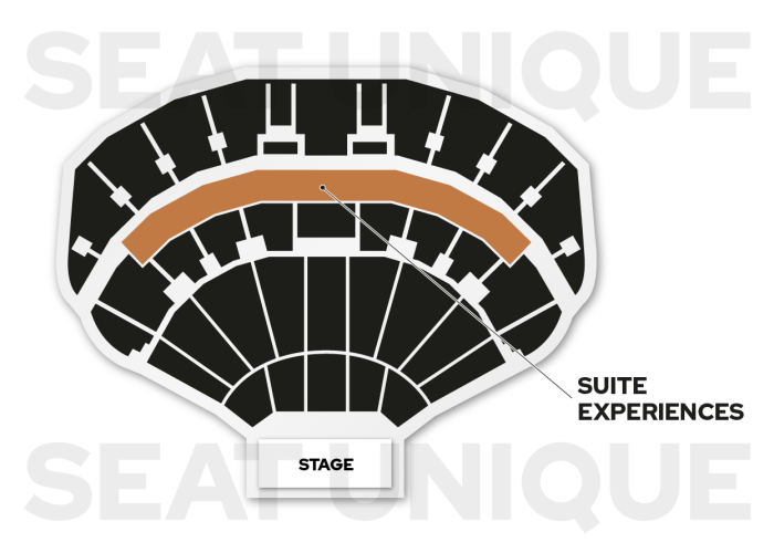 Texas first direct arena premium seating map