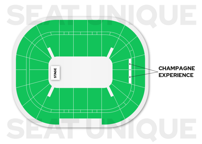 Gabrielle AO Arena Manchester seating map