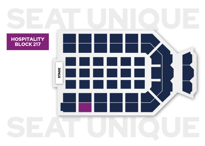 Doja Cat Utilita Arena Newcastle seating map 