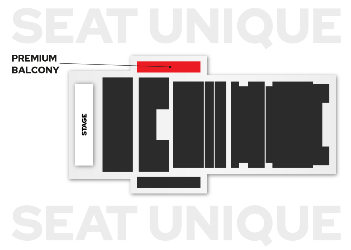 Russell Kane Connexin Live premium seating map