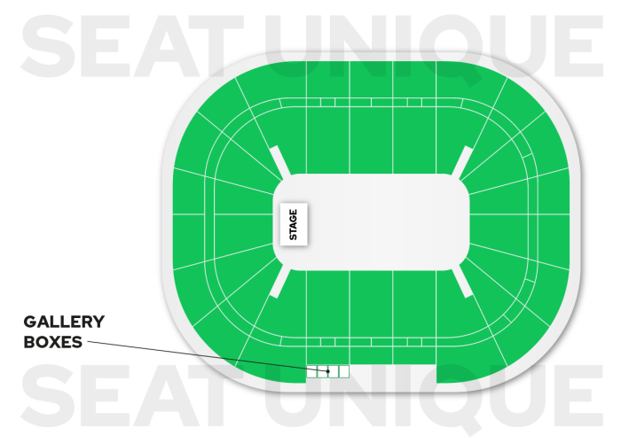 Twenty One Pilots AO Arena premium seating map, Gallery Boxes