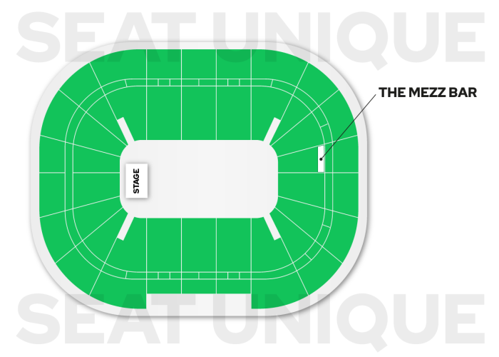 Twenty One Pilots AO Arena seating plan