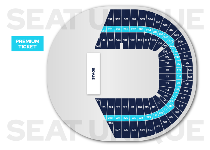 Premium Seating Plan