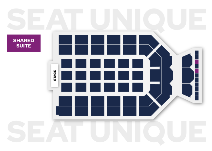 Newcastle Utilita Share Suite seating map