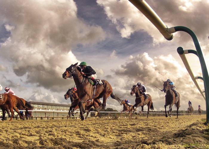 Horseracing at Lingfield Park Races