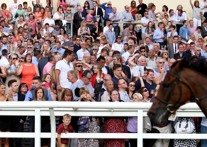 Crowd at Lingfield Park Racecourse