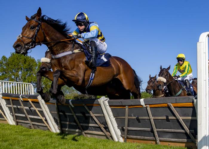 Horse Jumping over a Fence