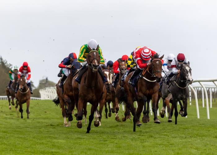 Horse racing at Bath Racecourse 