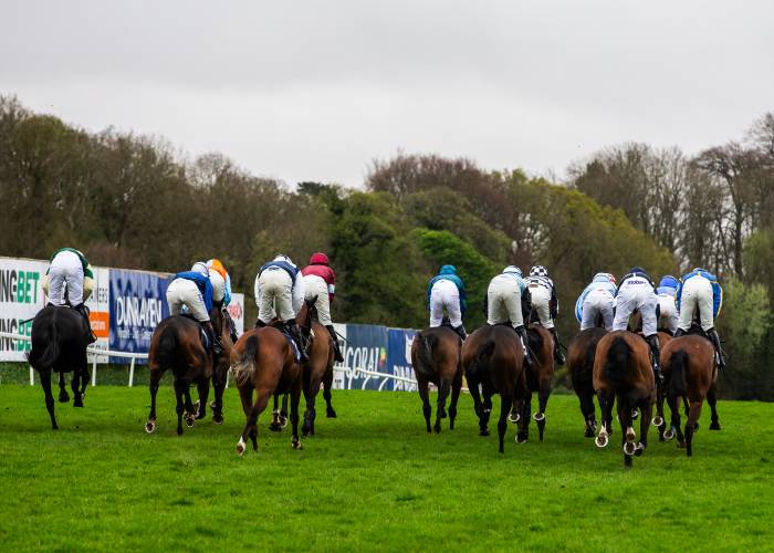 Horses Running