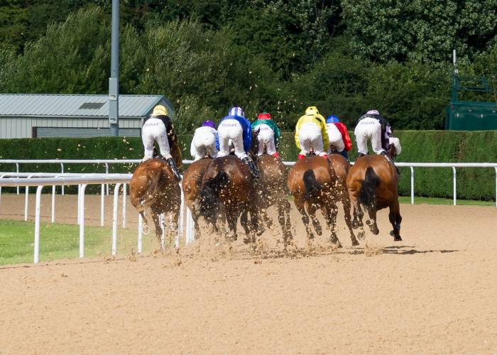 Horse racing at Wolverhampton 