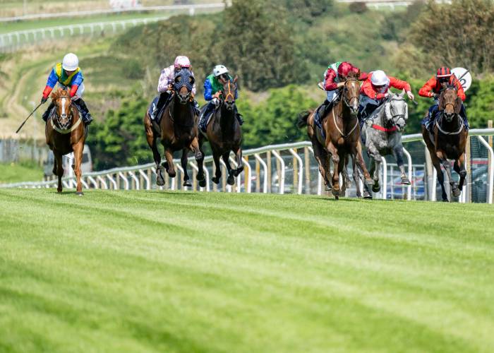 Horse Racing at Brighton Races