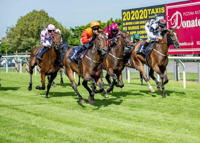 Horses racing for the finish line