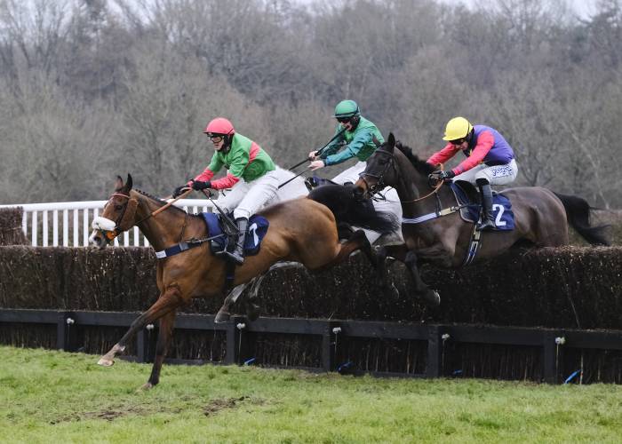 Horses over a jump at Lingfield Park