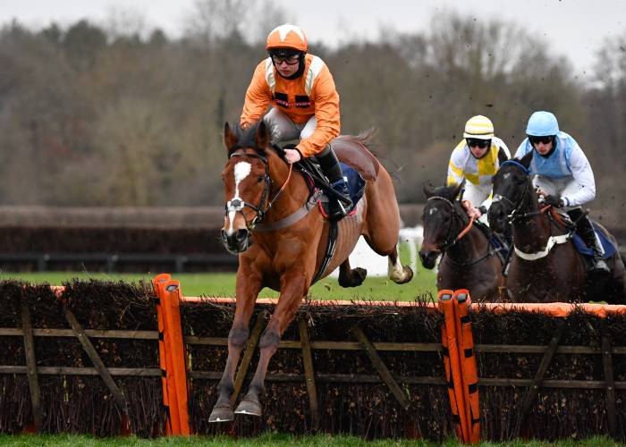 Horse Jumping at Lingfield Park