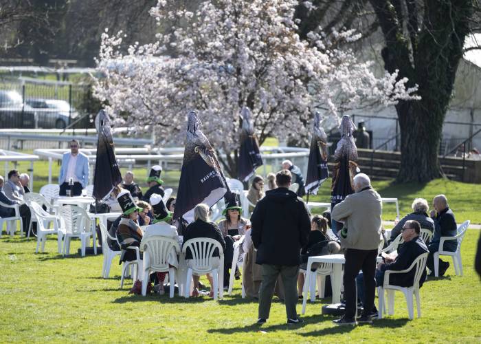 Seating area at Fontwell Park Racecourse