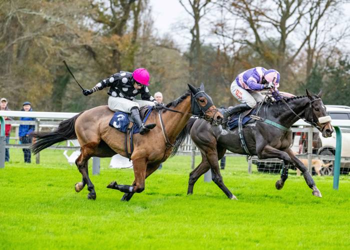 Horses charging for the line