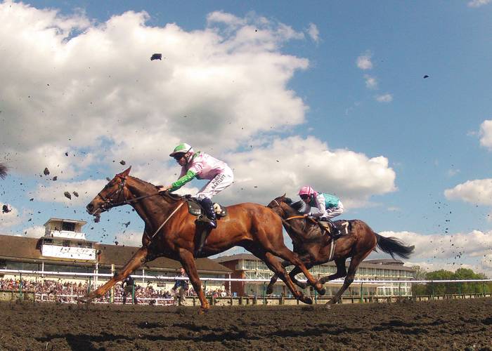 All Weather Track Lingfield Park