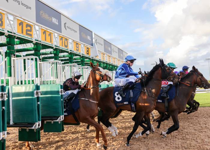 Horses at the Start 