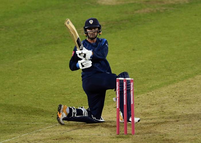 Pitch Side Cricketer