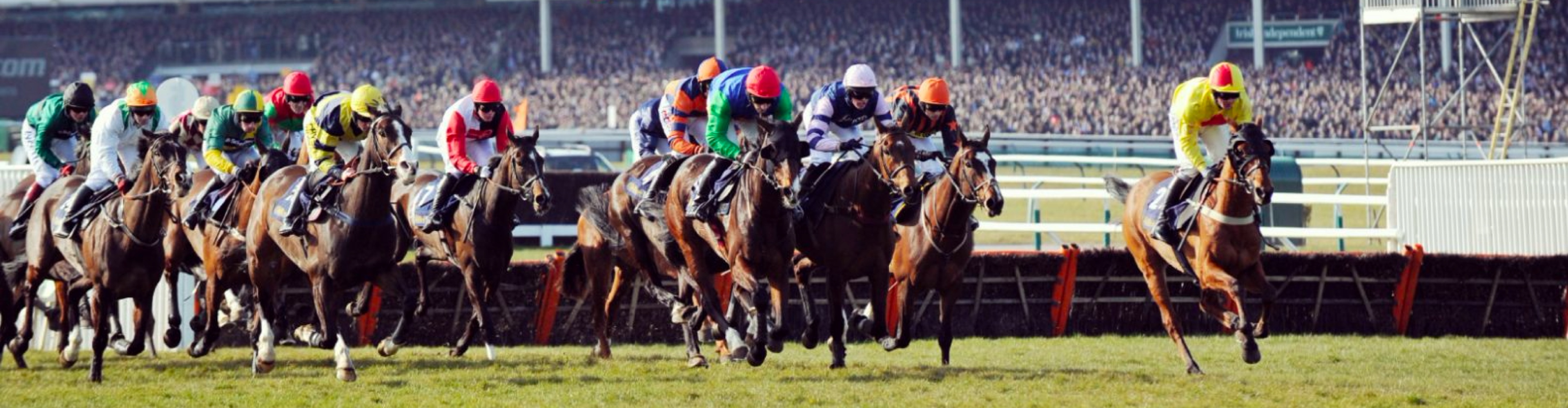 Cheltenham Festival Day 3: St Patrick's Thursday
