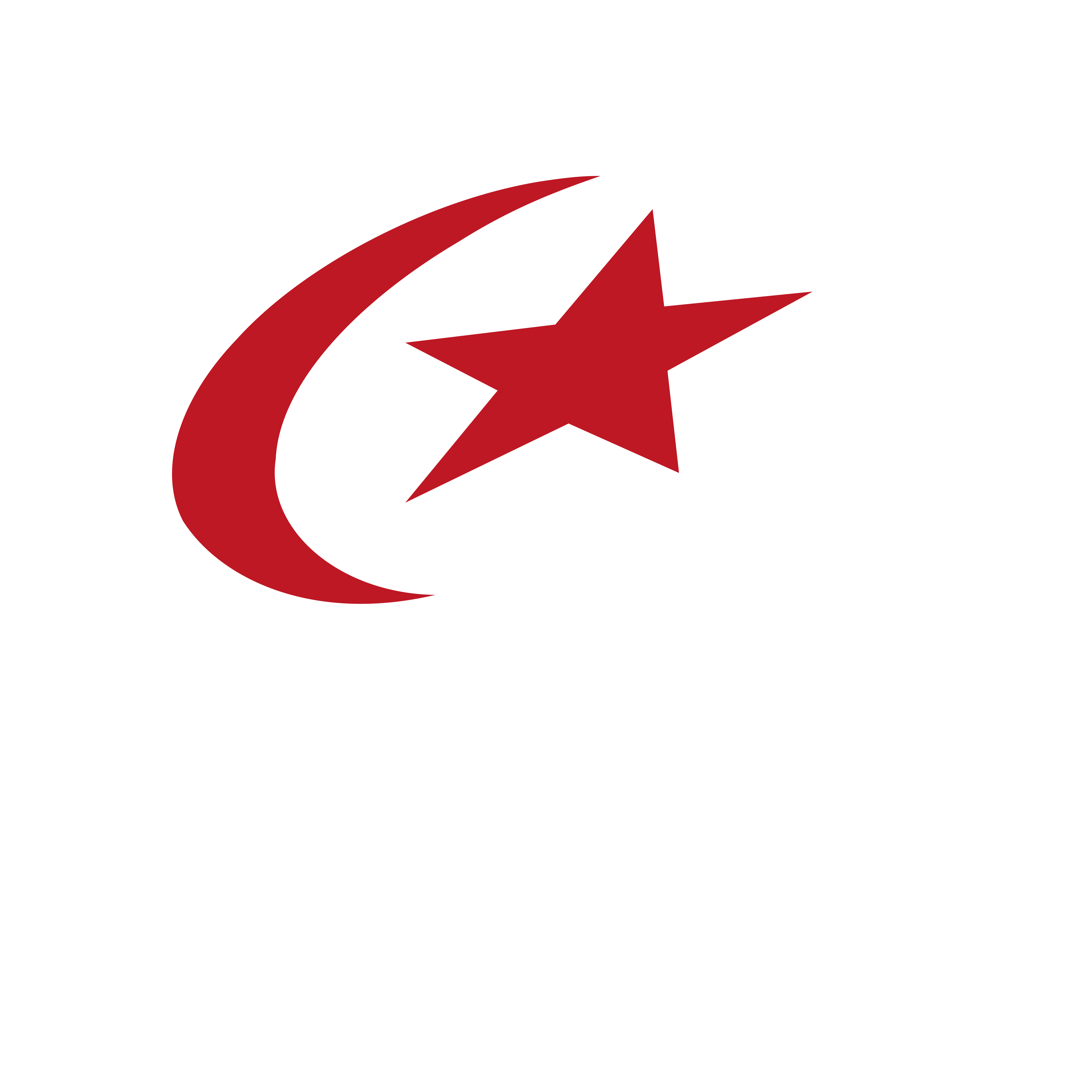 Saracens