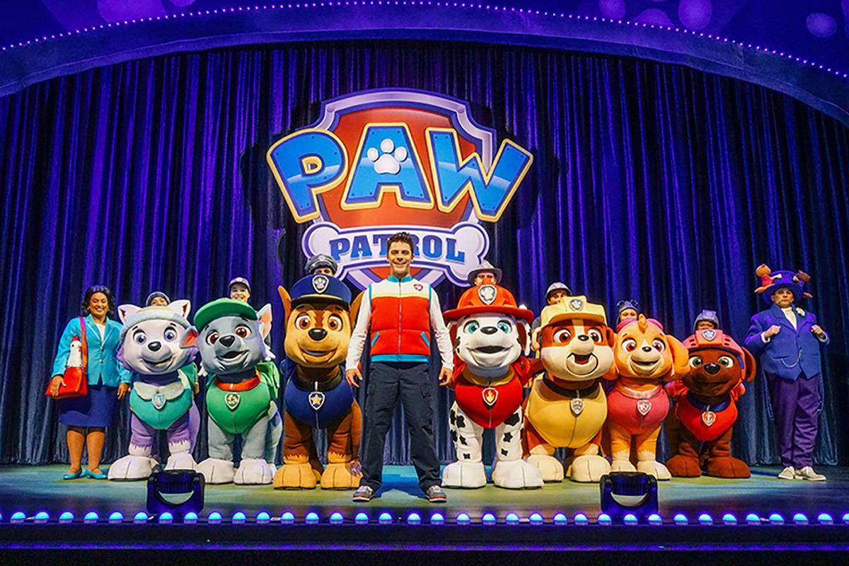 Paw Patrol Live
