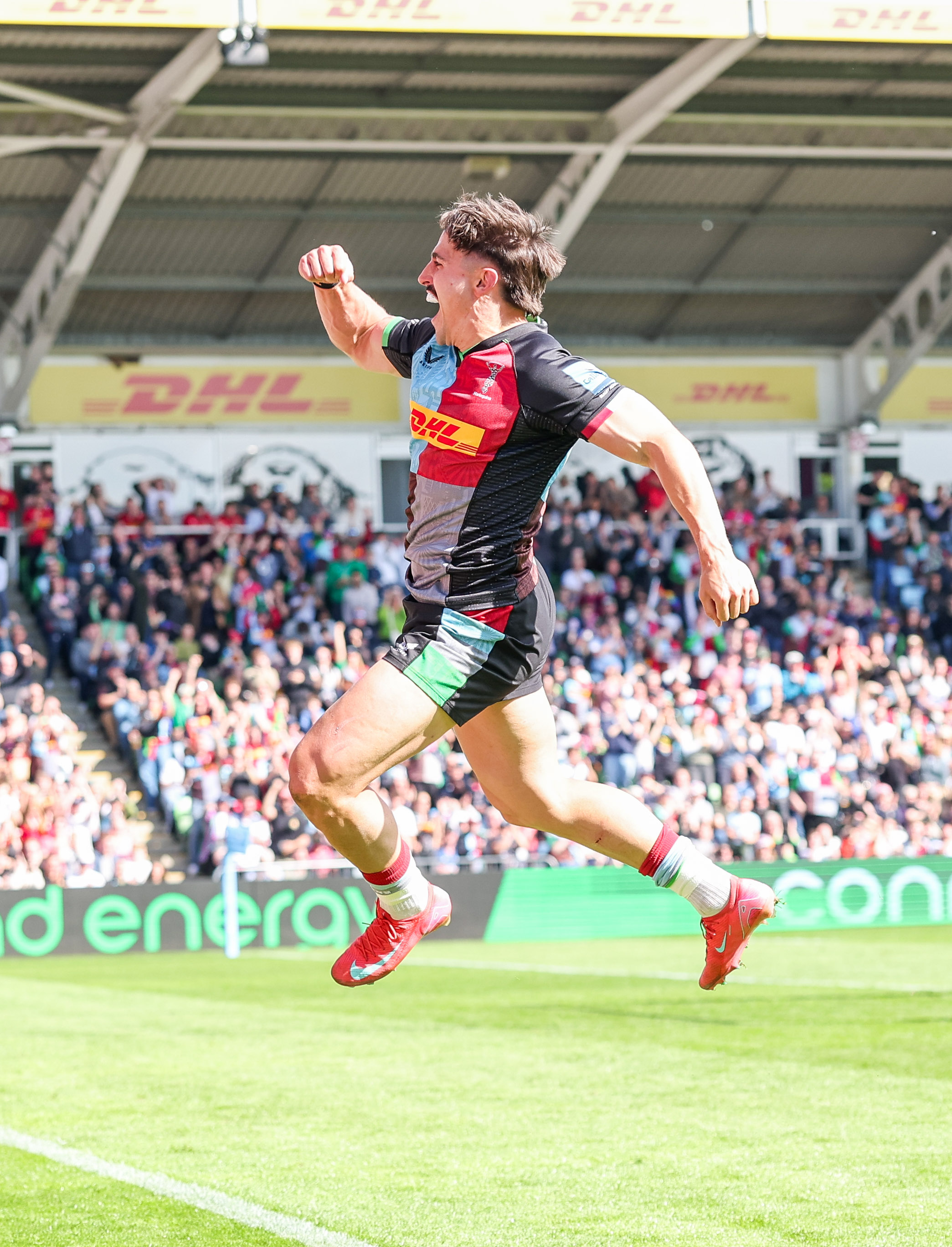 Harlequins