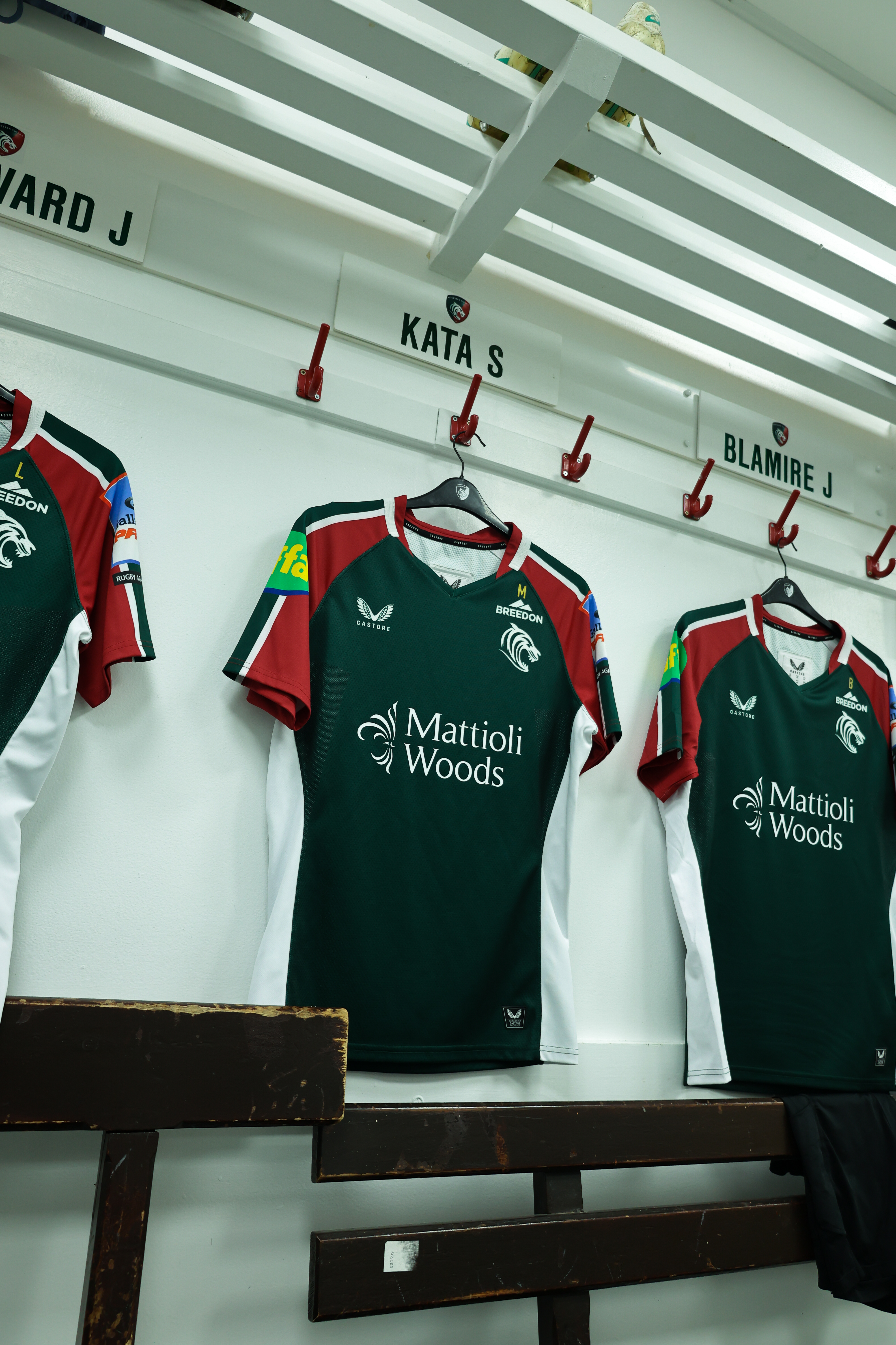 Green Carpet - Media 3