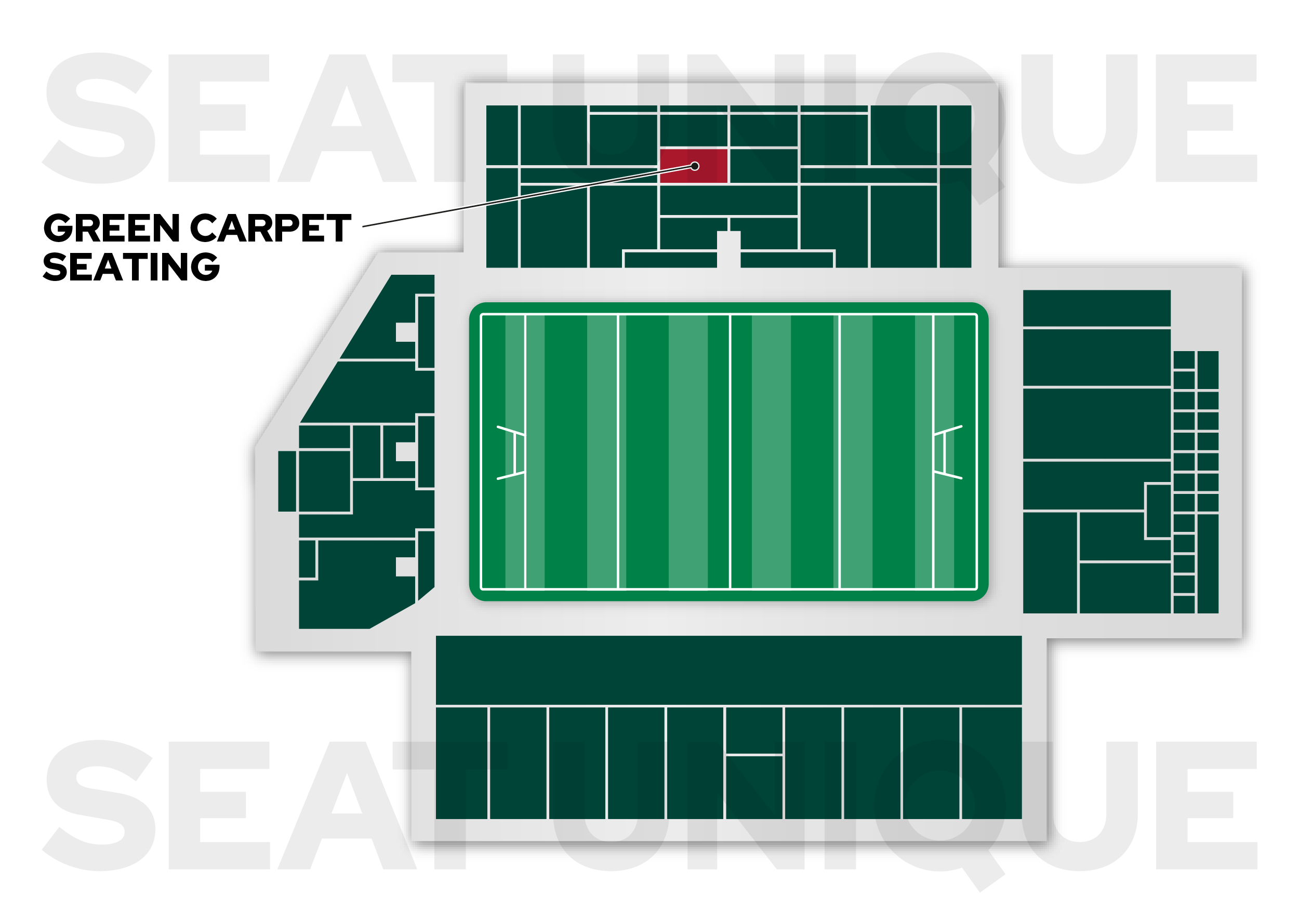 Green Carpet - Media 5