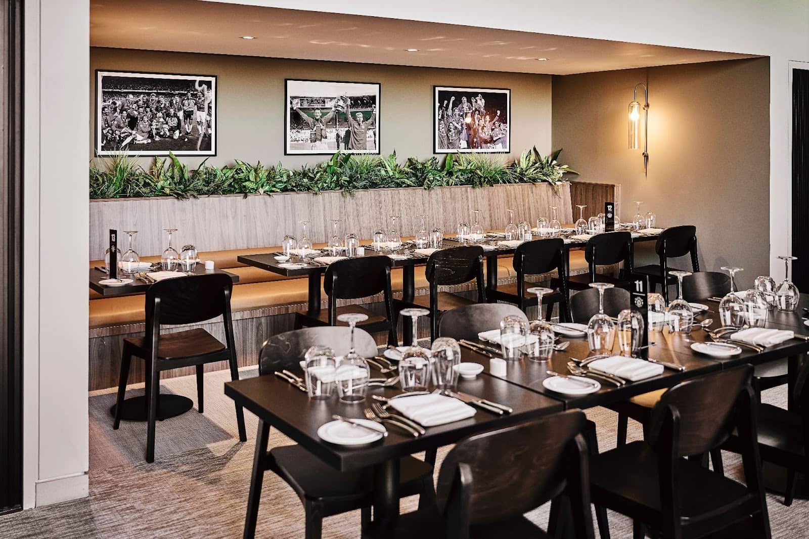 Treble Suite - Media 4