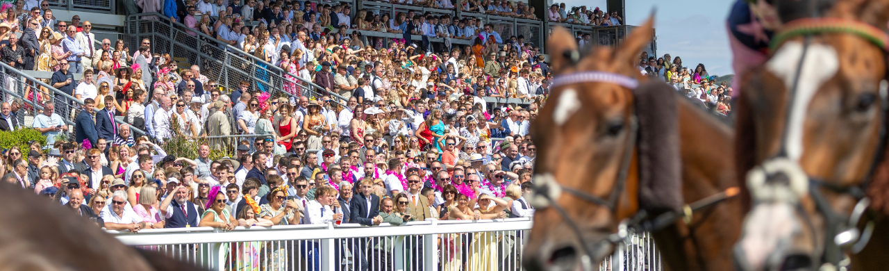 Ladies Day
