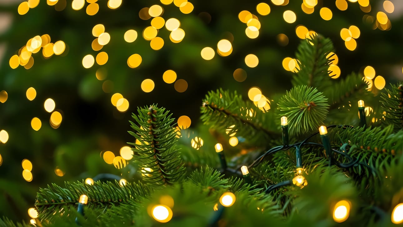 Capture the magic of the holidays with this warm, festive image of Christmas tree lights and soft bokeh. Perfect for your seasonal projects.