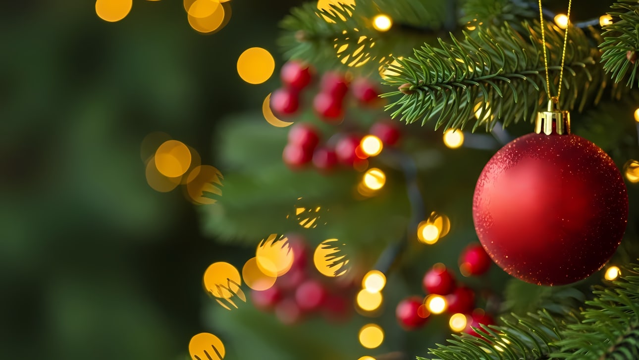 Download this vibrant Christmas tree branch with a red bauble and festive lights, perfect for holiday designs and promotions.