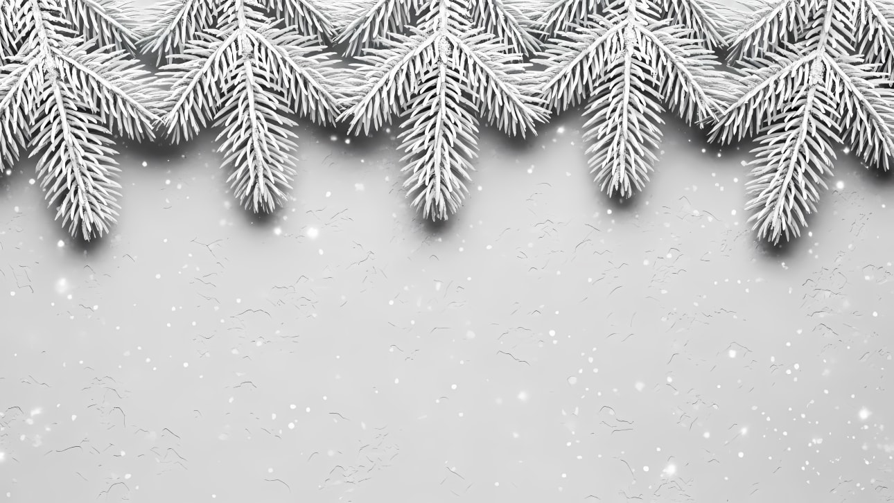 Download this free vector featuring elegant frosted pine branches creating a winter border on a light gray background with falling snow.