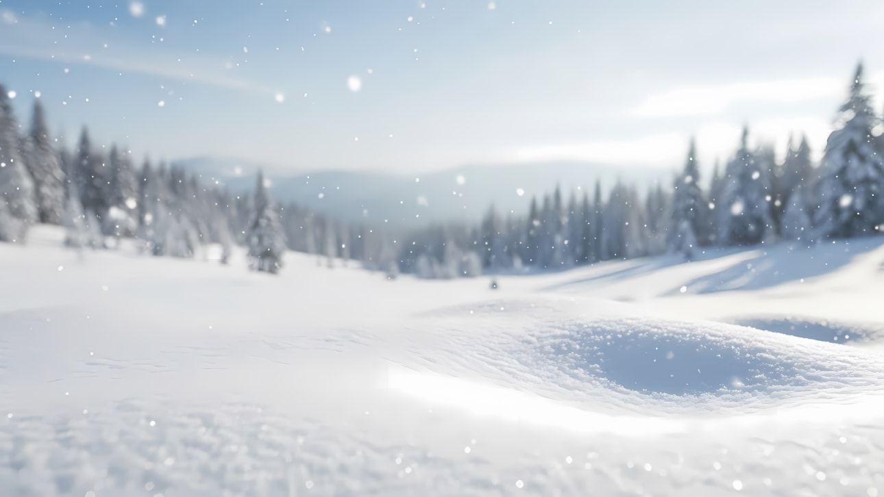 Discover a serene free vector image of a peaceful winter landscape, complete with snow-covered trees, glistening ground, and falling snowflakes.